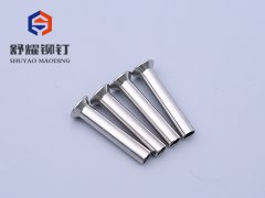 沉頭中空不銹鋼鉚釘