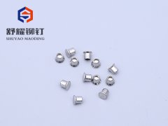 沉頭中空不銹鋼鉚釘2