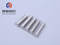平頭不銹鋼鉚釘