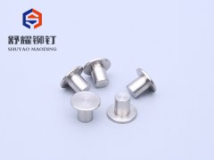 平頭實心不銹鋼鉚釘