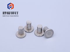 平頭實心不銹鋼鉚釘2