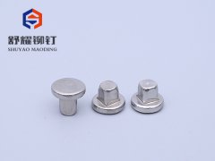 圓頭實(shí)心四方不銹鋼鉚釘