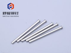 圓頭實(shí)心不銹鋼鉚釘