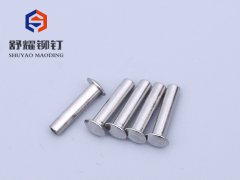 圓頭中空不銹鋼鉚釘