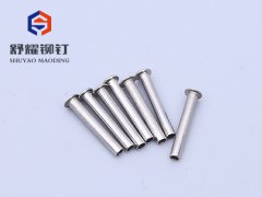 圓頭中空不銹鋼鉚釘 (2)