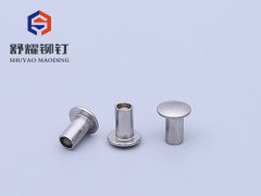 圓頭中空不銹鋼鉚釘 (3)