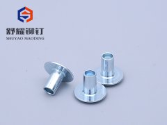 圓頭半空鐵鉚釘 (2)