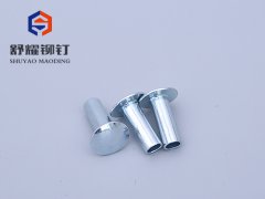 圓頭半空鐵鉚釘 (4)