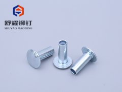 圓頭半空鐵鉚釘 (5)