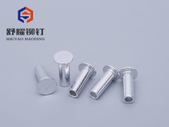 大平頭中空鋁合金鉚釘