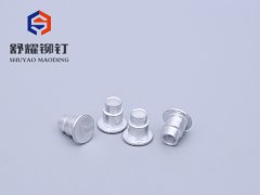 平頭半空臺(tái)階鉚釘