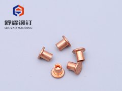 平頭中空紫銅鉚釘 (2)