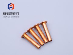 平頭中空紫銅鉚釘