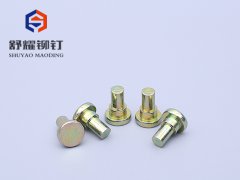 平頭實心臺階鉚釘 (2)