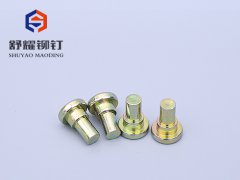 平頭實心臺階鉚釘