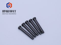 平頭實(shí)心車槽鉚釘